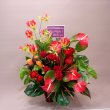 京都府京都市東山区花幸の花　トロピカルレッド＆グリーンアレンジメント