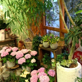 京都府京都市東山区の花屋　花幸